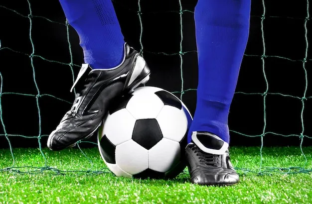 网球竞猜与赛事中心